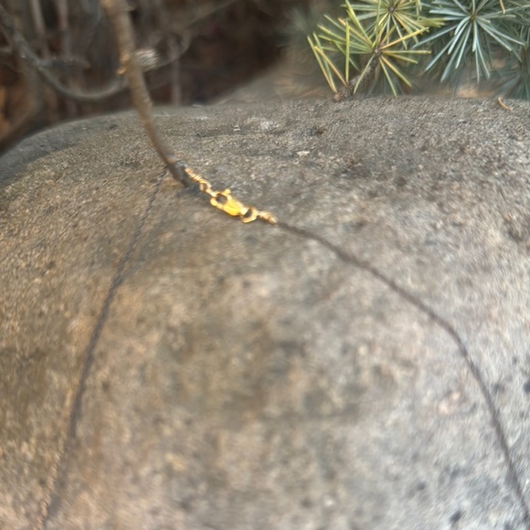 Sundance Gold and Black Elegant Necklace